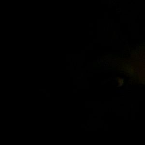 Meet your Posher, Donte